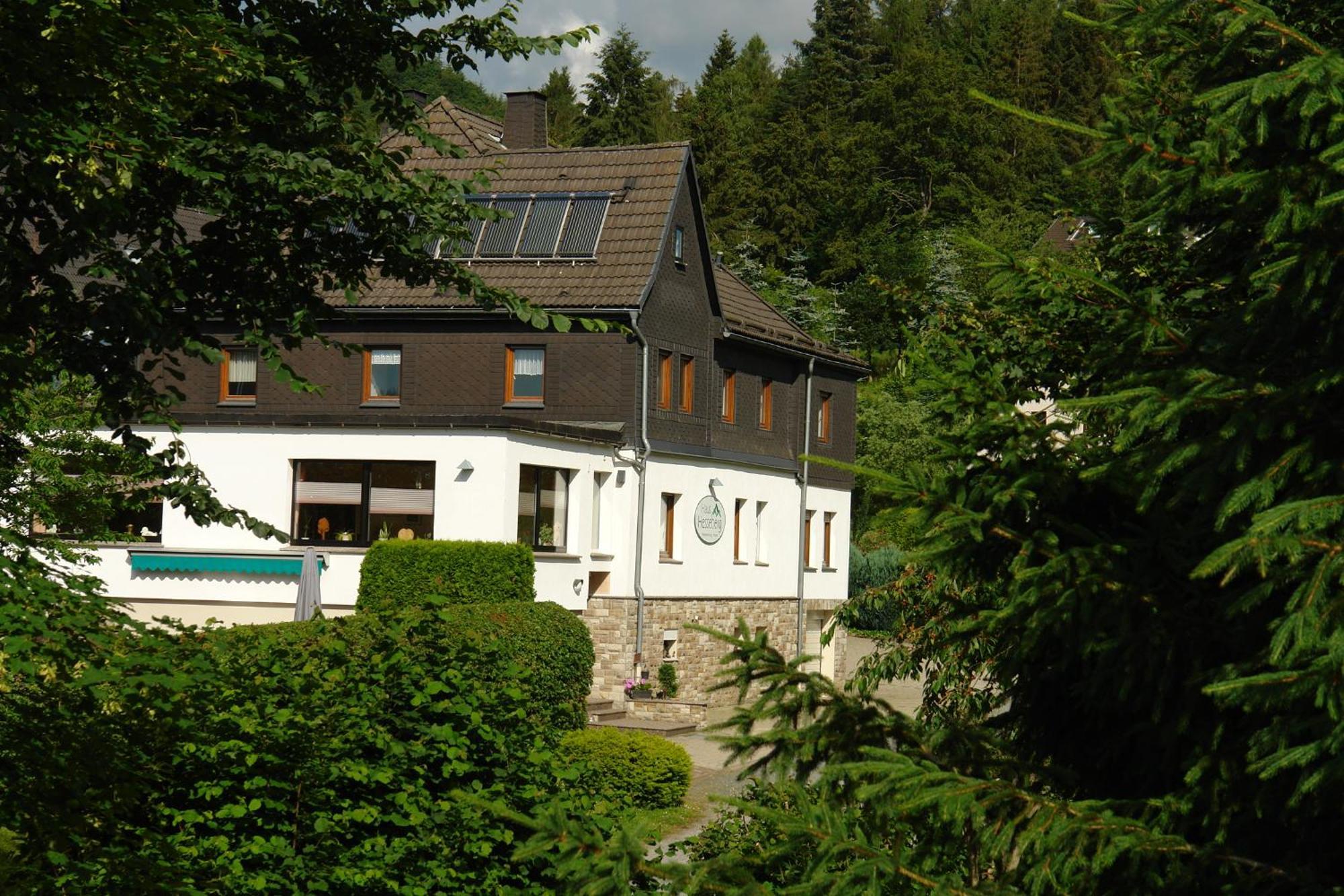 Haus Hesseberg Hotel Medebach Bagian luar foto